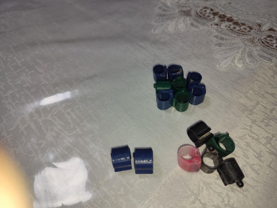 Cipuri porumbei mega tauris și chinezești