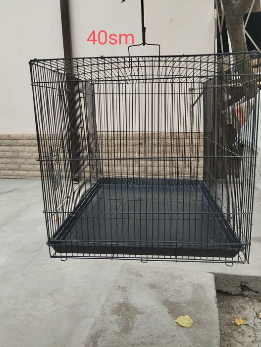 Клетка кушлар учун