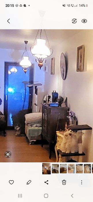 3  Lustre retro  deosebite