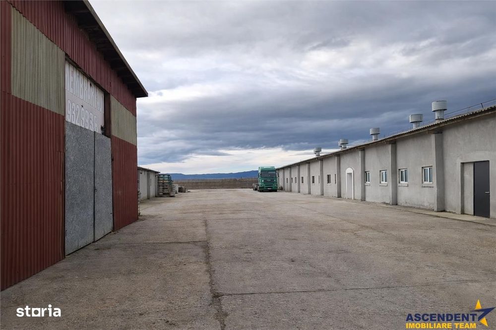 Hala industriala versatila,spatii cazare, platforma betonata,2.300 mp,