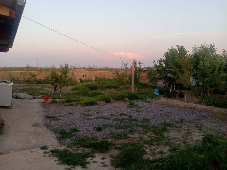 Jizzax viloyati zarbdor tumani Oqbuloq mfyda 6 soʻtix uy sotiladi