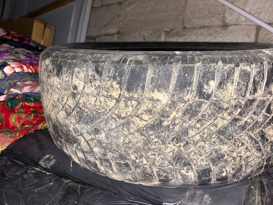 Зимный липучка сатылады.