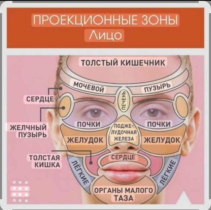 Косметология . Онлайн курс