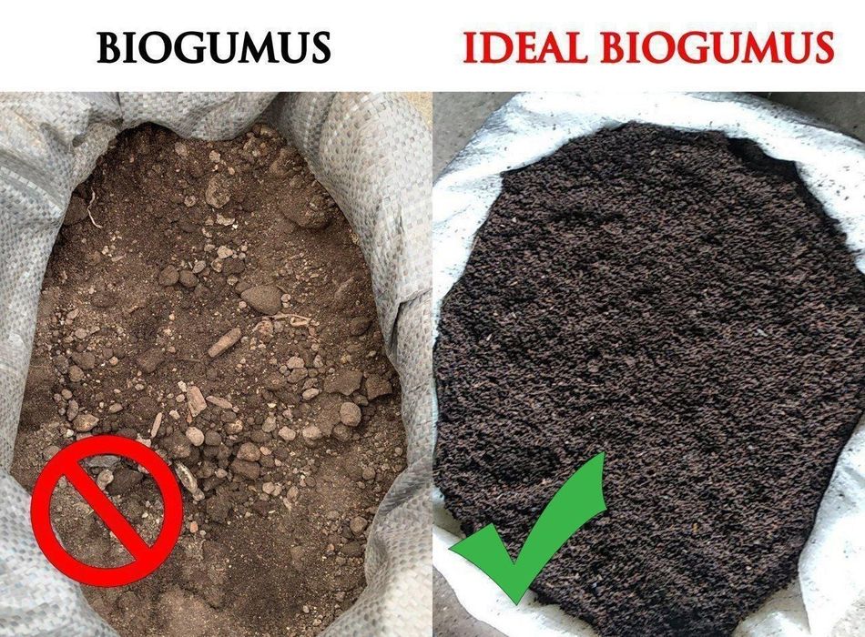 Biogumus orgsnic