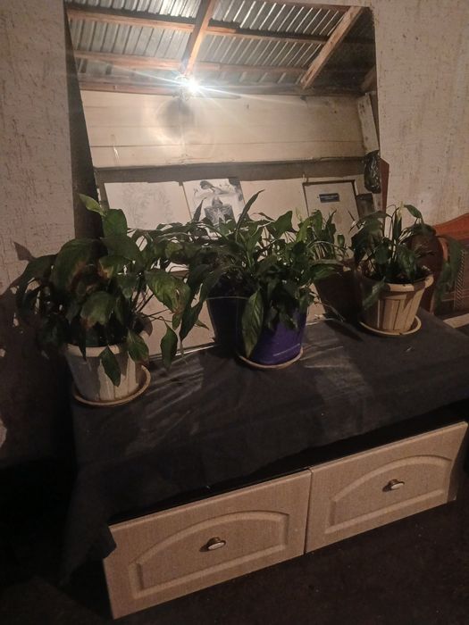 Продам дешево ниже рыночного