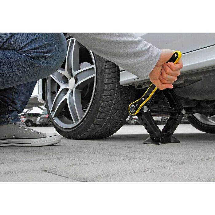 Крик тип Жаба с Тресчотка 1 тон autolife.bg