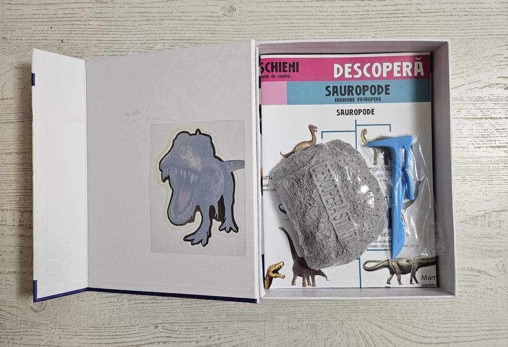 Descoperă Știința – Set  educațional: Corpul uman