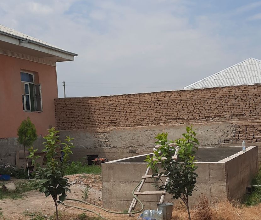 Дом на земле природа