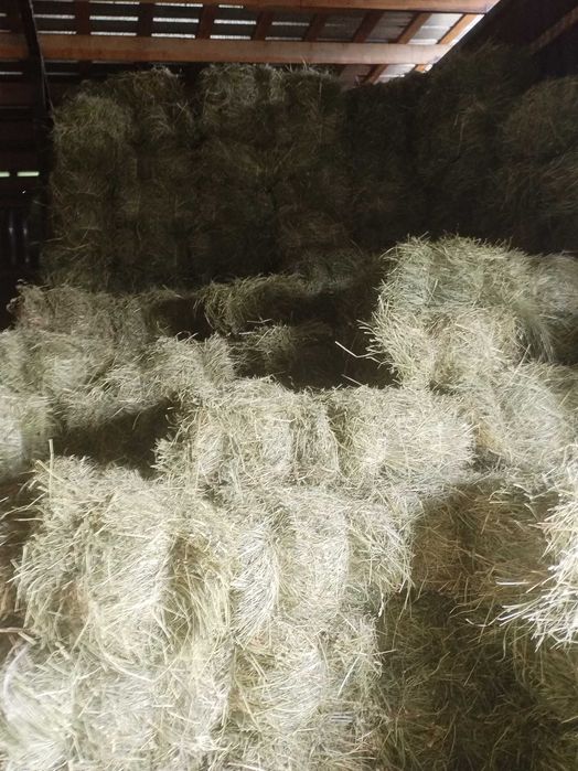 Продам  садовое сено