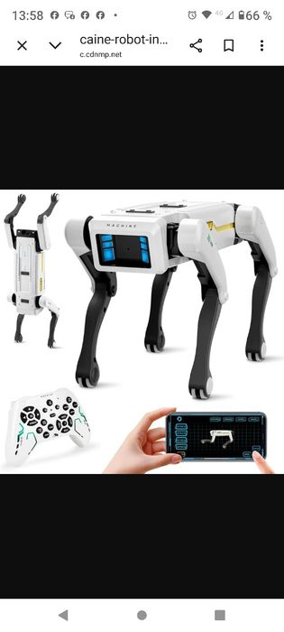 Robot caine inteligent
