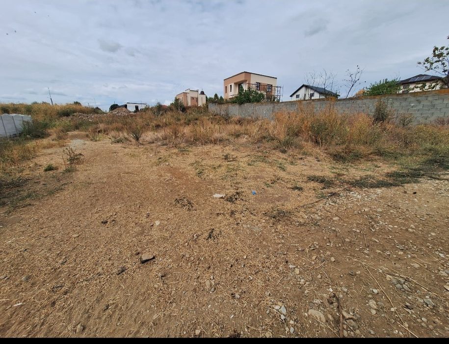 Teren intravilan de vânzare -  594 mp - Preajba - Malu Mare 53.000€.
