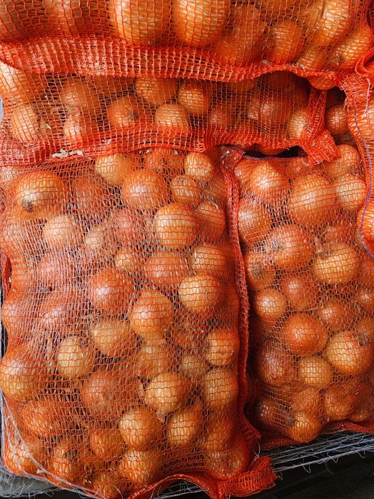 Ceapa alb ambalat la saci de 10 kg, Legend