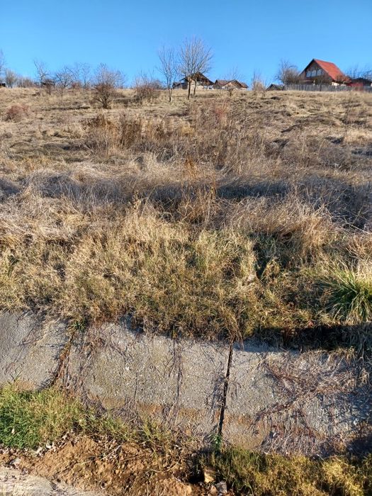 De vânzare 1000mp Mioveni