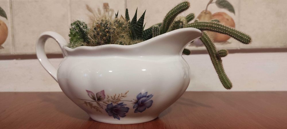 Cactuși in vas ceramica