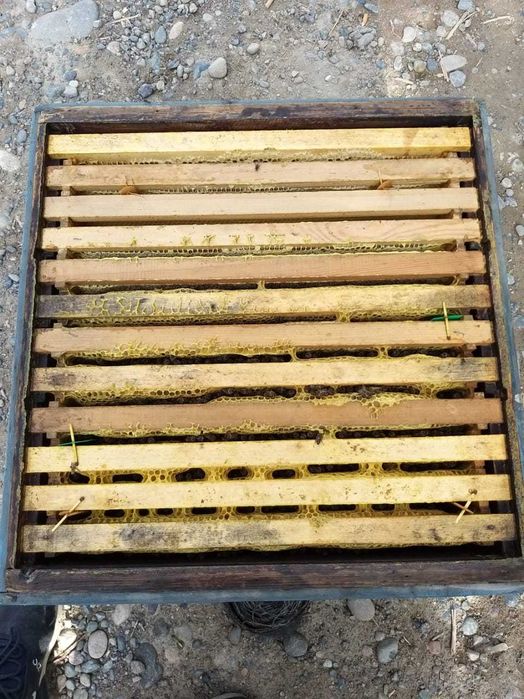 Полоски для пчёл