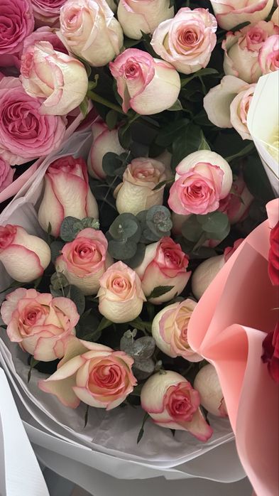 Срочно, продаются цветы, город шымкент