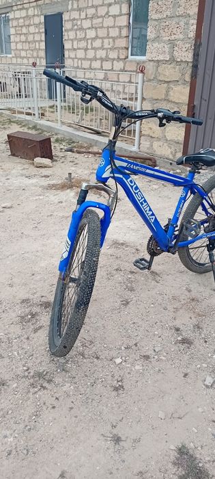 Велик DUSHIMA500