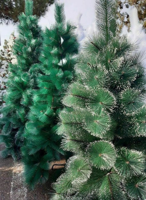 70 mingdan 500000 gacha tel qiloraszlar xitoy tovarlar