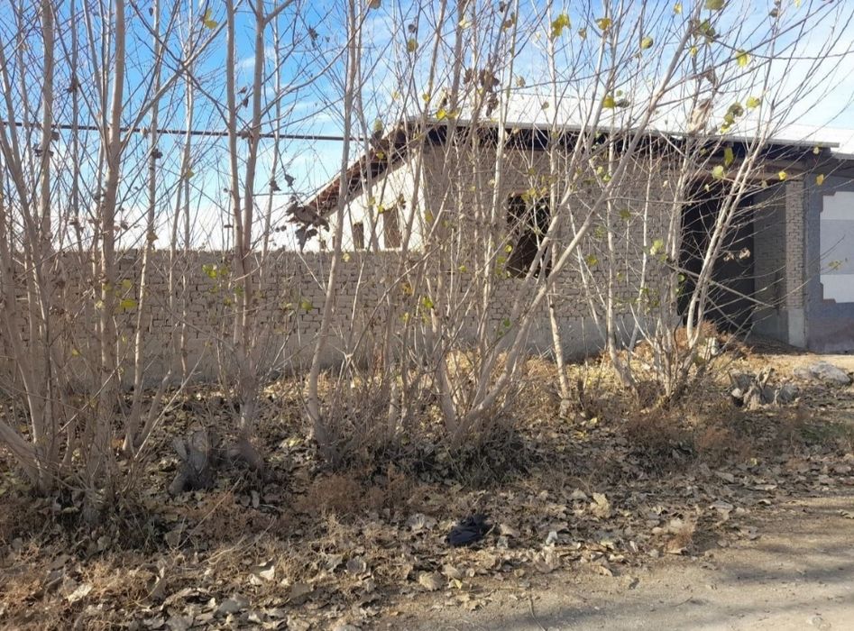 Uy sotiladi 12.4 sotix paxtachi tumani bek tuyxonasi orqasidagi ko'cha