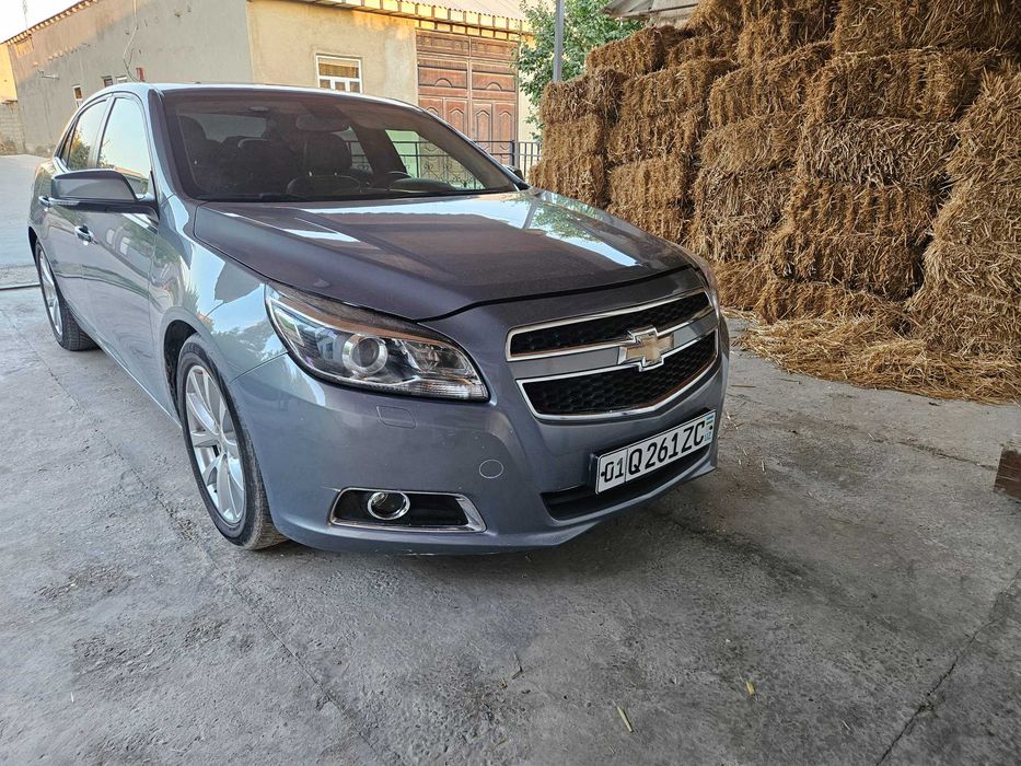 Malibu 1, 3-pos, 2013