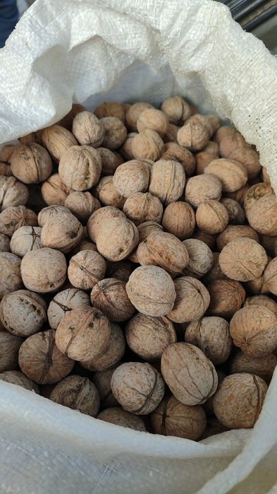 Жаңғақ 1000т срочноооо