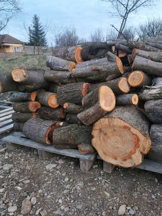 Lemne prun și mar  pentru afumat. sau pentru foc. 200ron/ms