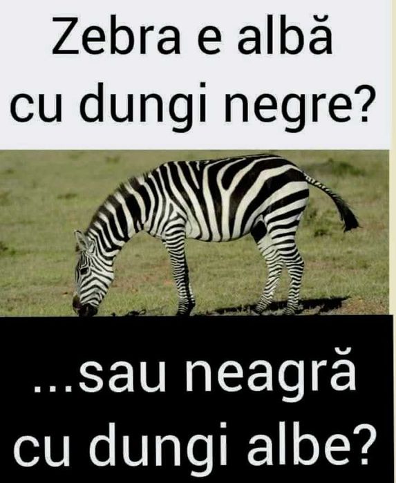 Meditatii la Matematica cls. I-VIII, cu Sicario