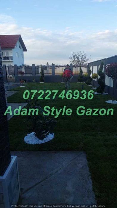 Gazon Verde Natural pentru Orice Proprietate