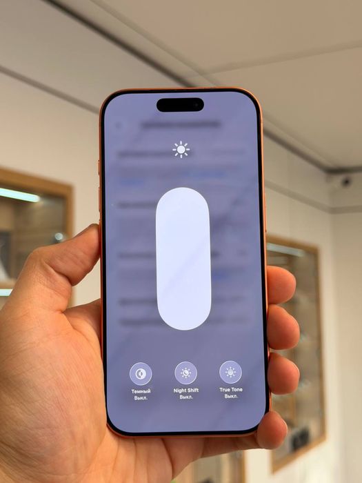 iPhone 17 Pro | 256 GB