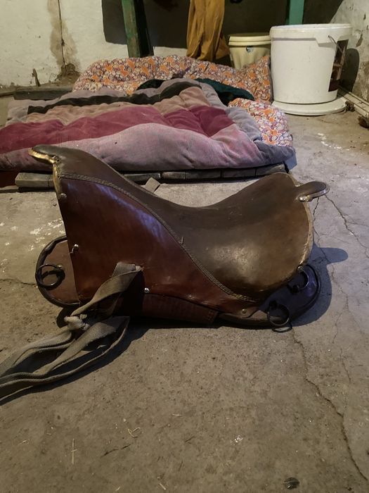 Ертокым сатылады