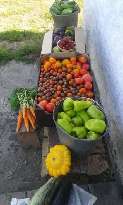 Биогумус вермикомпост