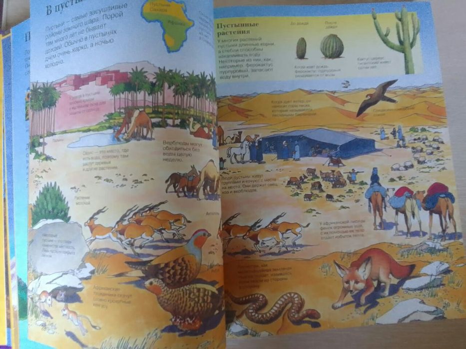 Детская энциклопедия