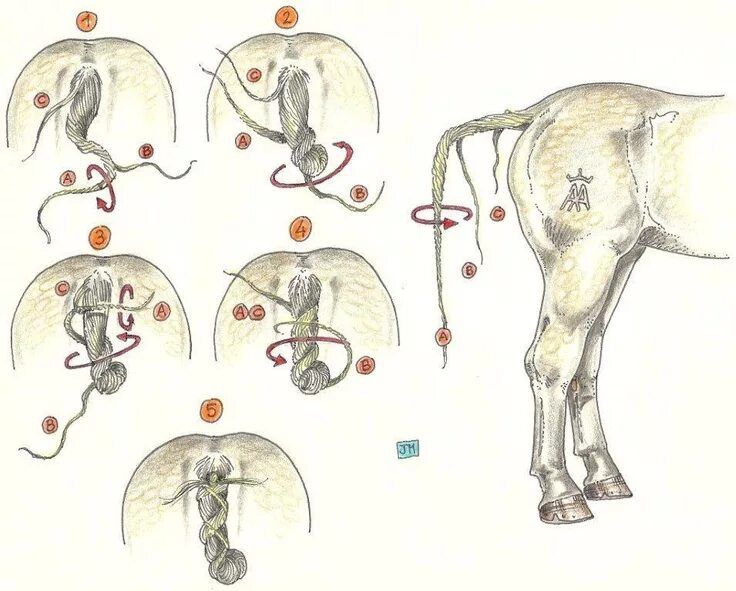 Ветеринарные услуги