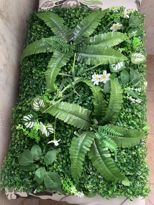 Звлени пана