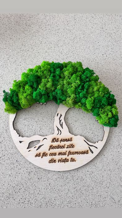 Decoratiuni cu licheni naturali