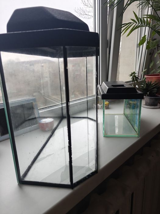 Аквариум 20л и 5 л