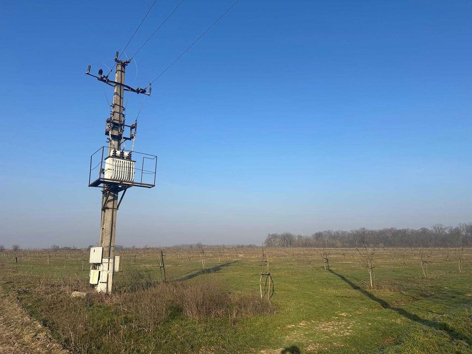 Livadă de nuc: Afacere agricolă cu potențial ridicat – 74,9 ha irigate