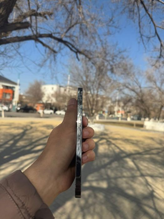 Айфон 13 про макс EAC