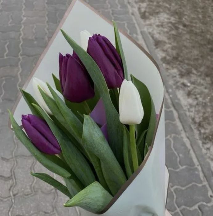Тюльпаны к 8 марту