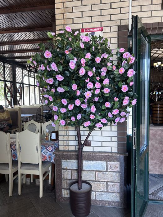 Искусственные деревья