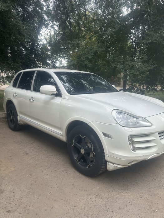 Продам  живого порша