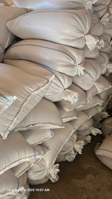 Grau de vanzare ambalat la sac