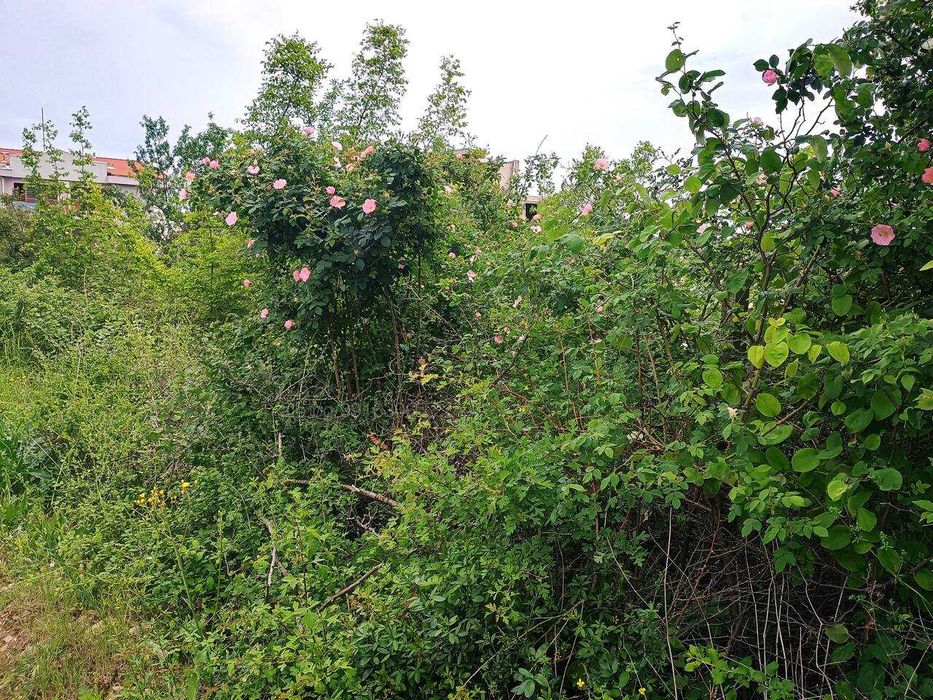 Продава се Парцел в Свети Влас - 500 кв.м за 138 €/кв.м - Снимка #5