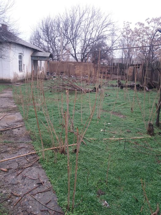 ПРОДАЁТСЯ участок в Чирчике