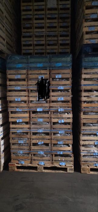 Саженцы клубники