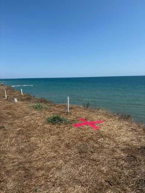 Vand teren intravilan Vama Veche 3000 mp cu vedere la mare