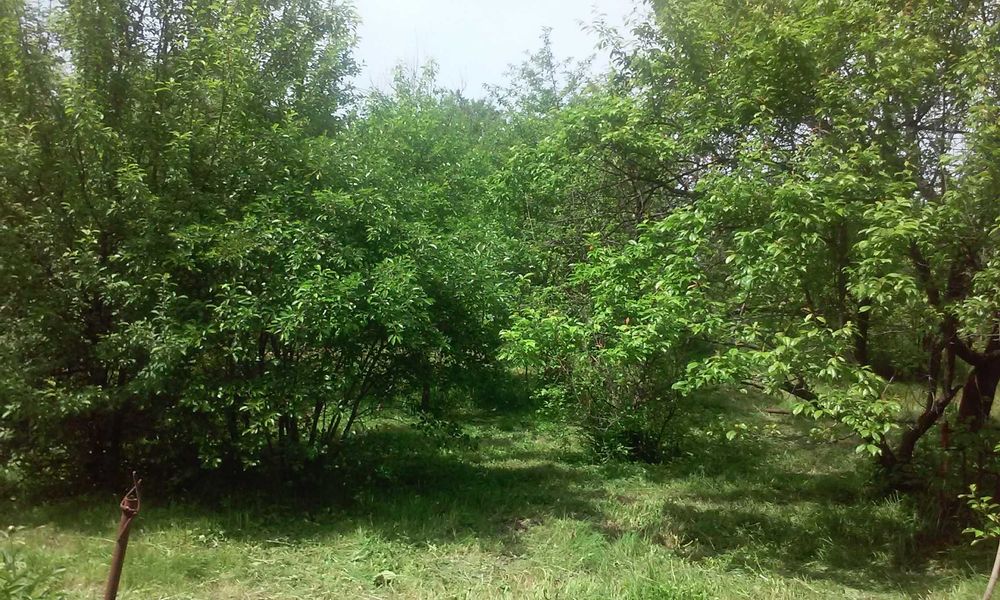 Продам дачу 19км по Раимбека