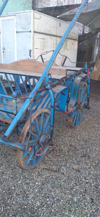 Trăsură pt căluț sau ponei