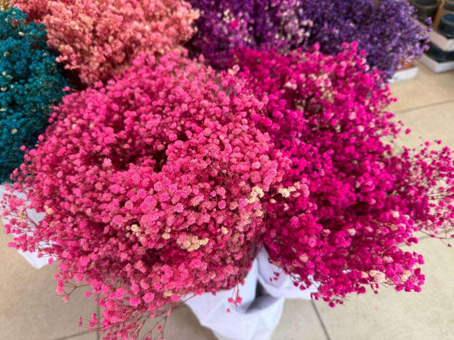 Сух гипсофил - 400 грама