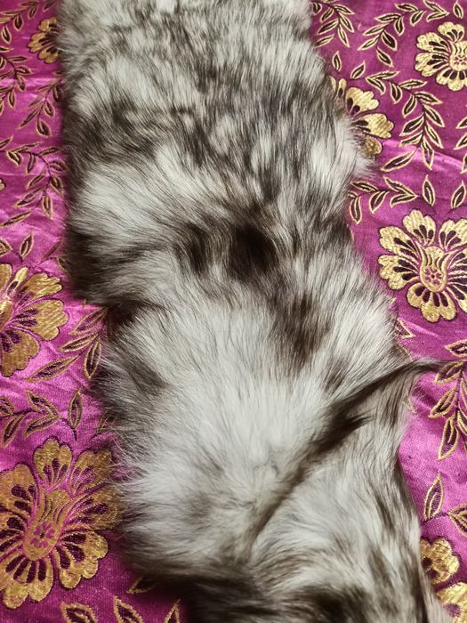 Продается воротник песец